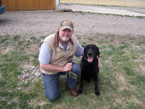 Tiger store mountain labradors